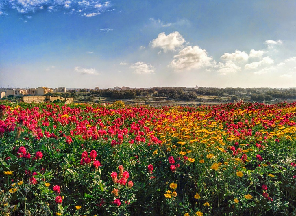 April in Zonqor